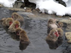 生駒市 白庭台 美容室x-axia